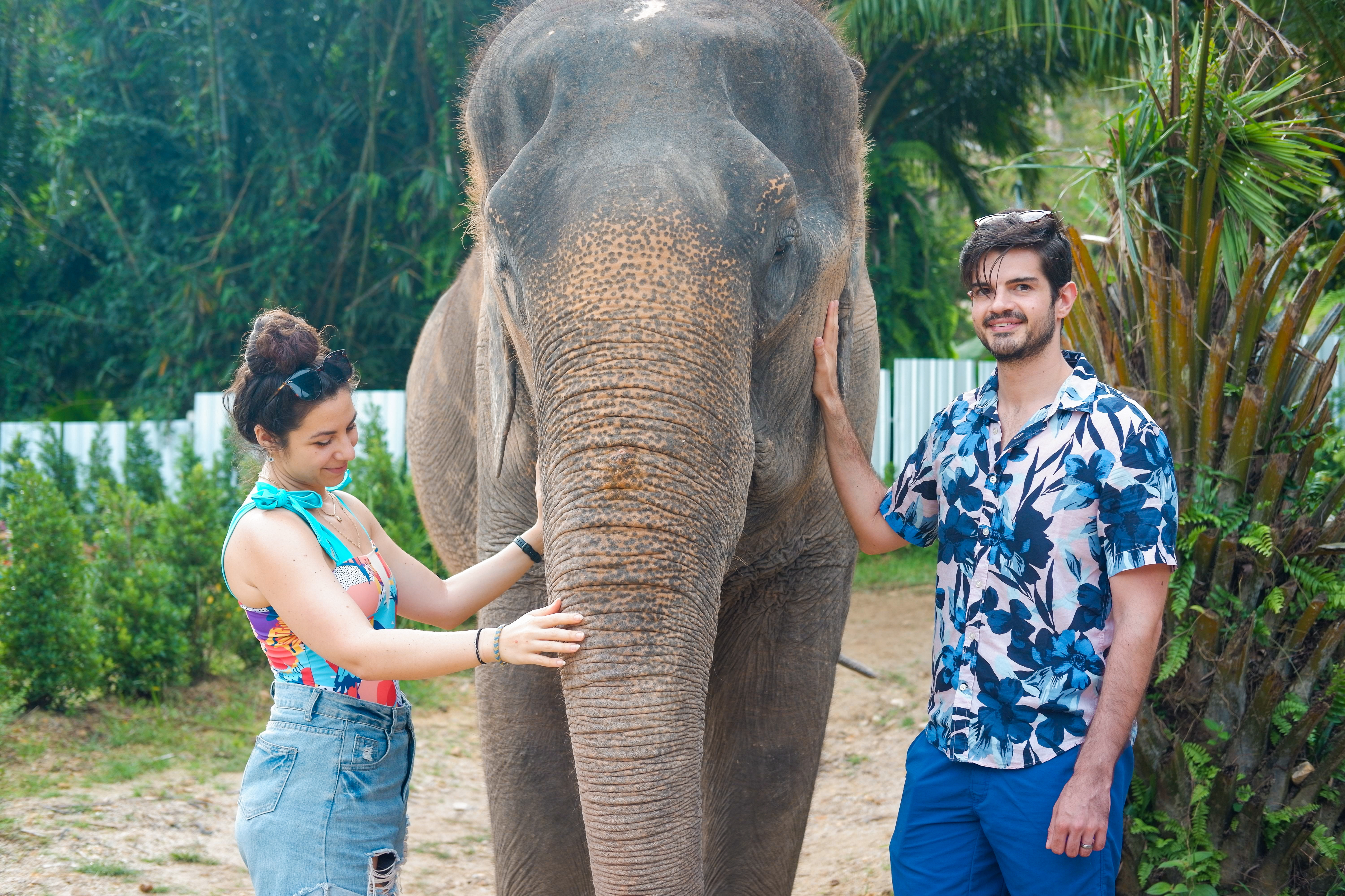 At the elephant jungle sanctuary